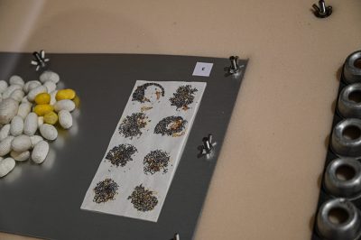 Exhibition in Concorezzo